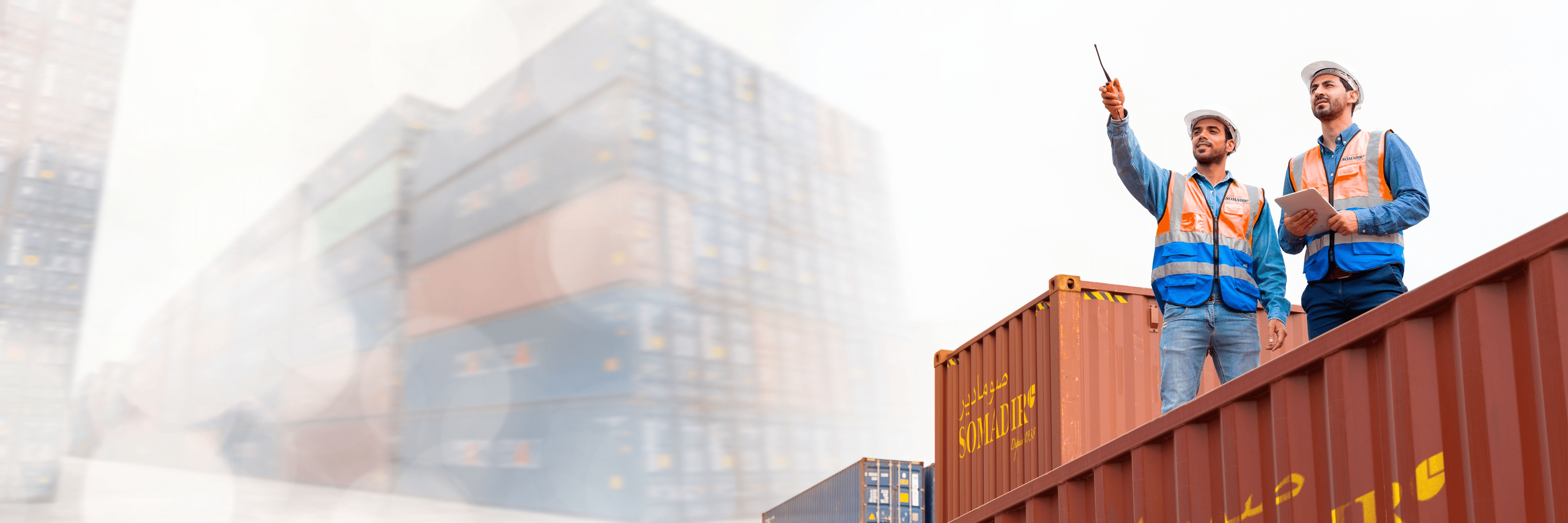 export-banner-image-somadir