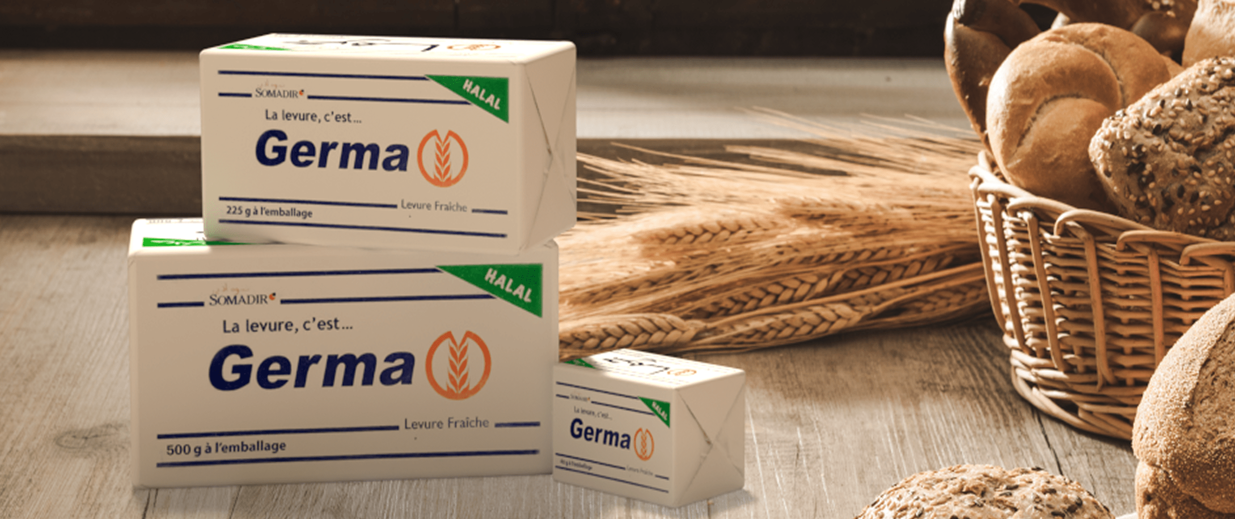 La levure de panification est un champignon unicellulaire apte à provoquer la fermentation des matières organiques, elle est employée dans la fabrication du pain.
La marque emblématique marocaine est la marque « Germa », fabriquée aujourd’hui grâce aux technologies les plus avancées.