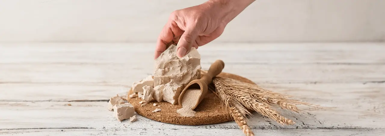 Une levure fraîche et sèche pour toujours vous satisfaire - SOMADIR MAROC