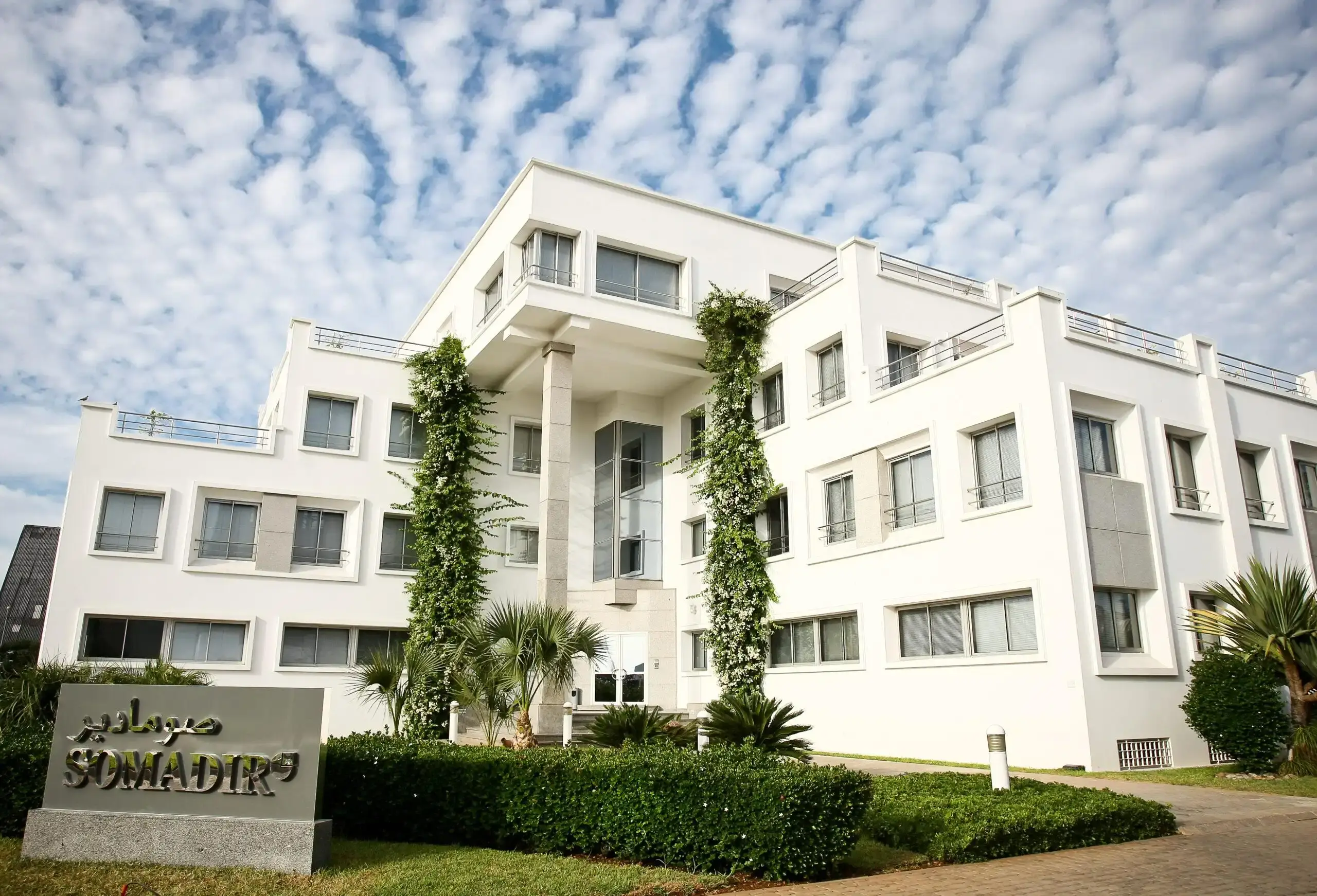 1er leader marocain du </br>marché de la levure - SOMADIR MAROC